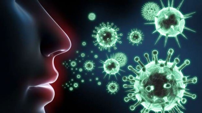 Bağışıklık Sistemi Koronavirüsle Nasıl Savaşır?